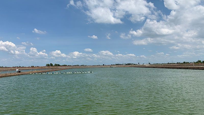 Vast experimental aquaculture pond