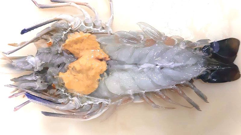 FROZEN GIANT FRESHWATER PRAWNS